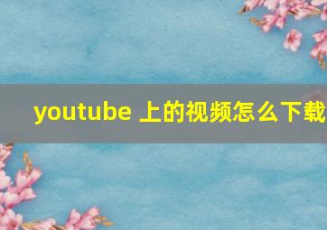 youtube 上的视频怎么下载